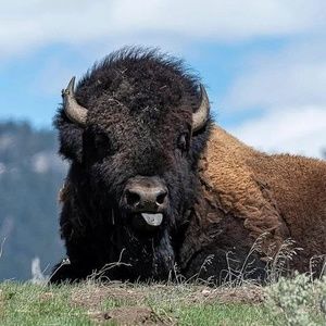 Meet your Posher, Dave